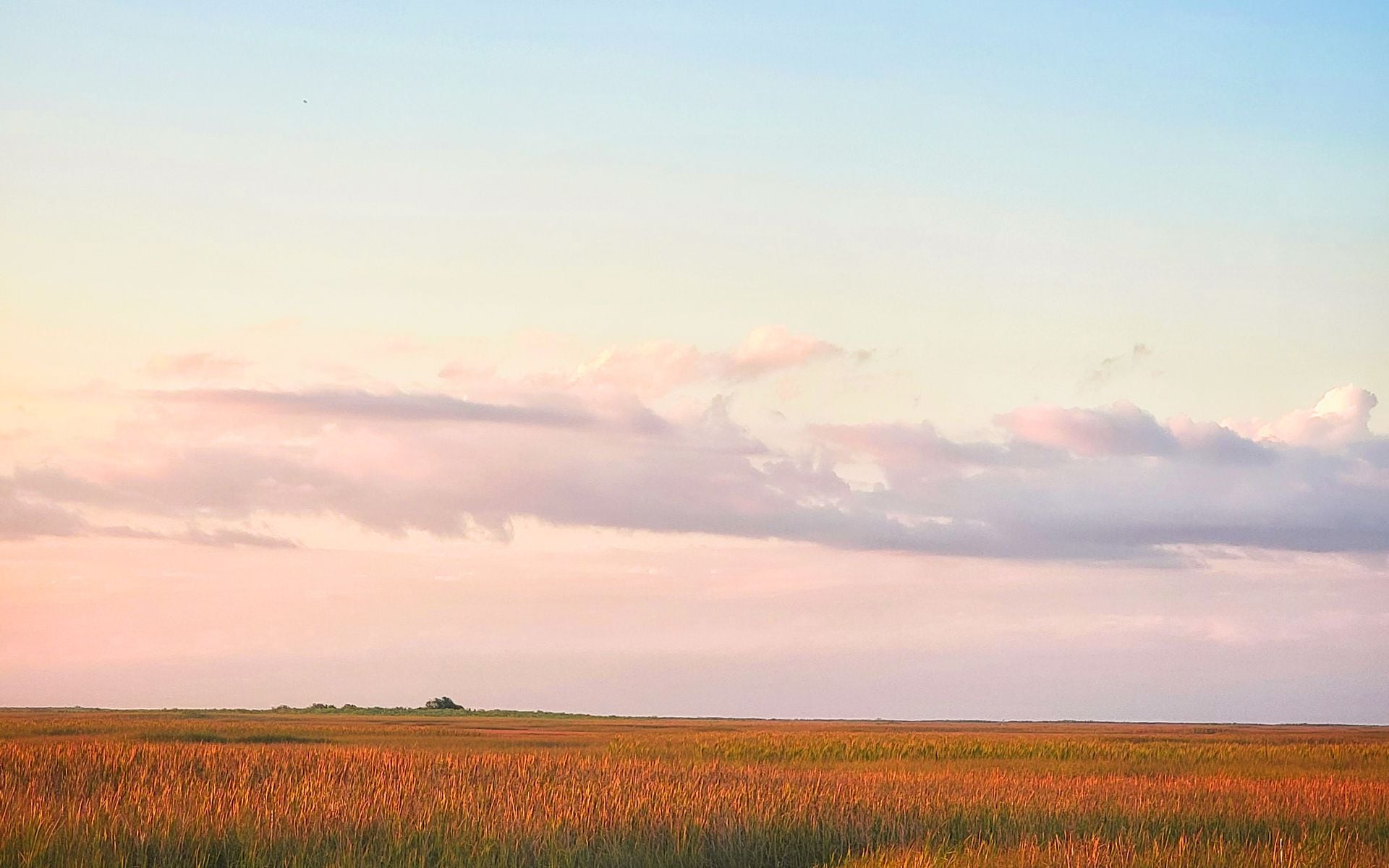 Sawgrass prairie and open sky in Everglades National Park with a boardwalk trail