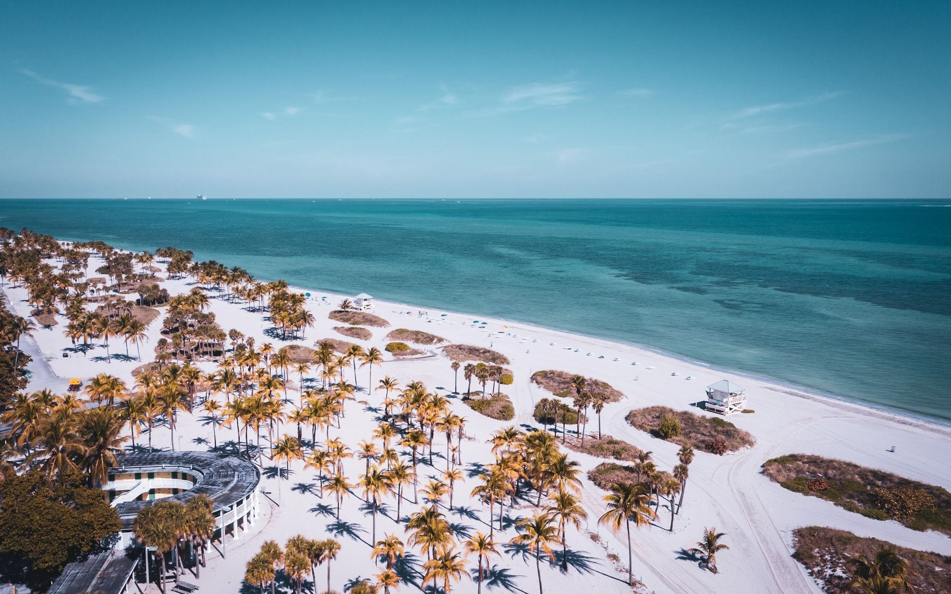 Palm-lined Florida coastline with turquoise Gulf water on a clear morning