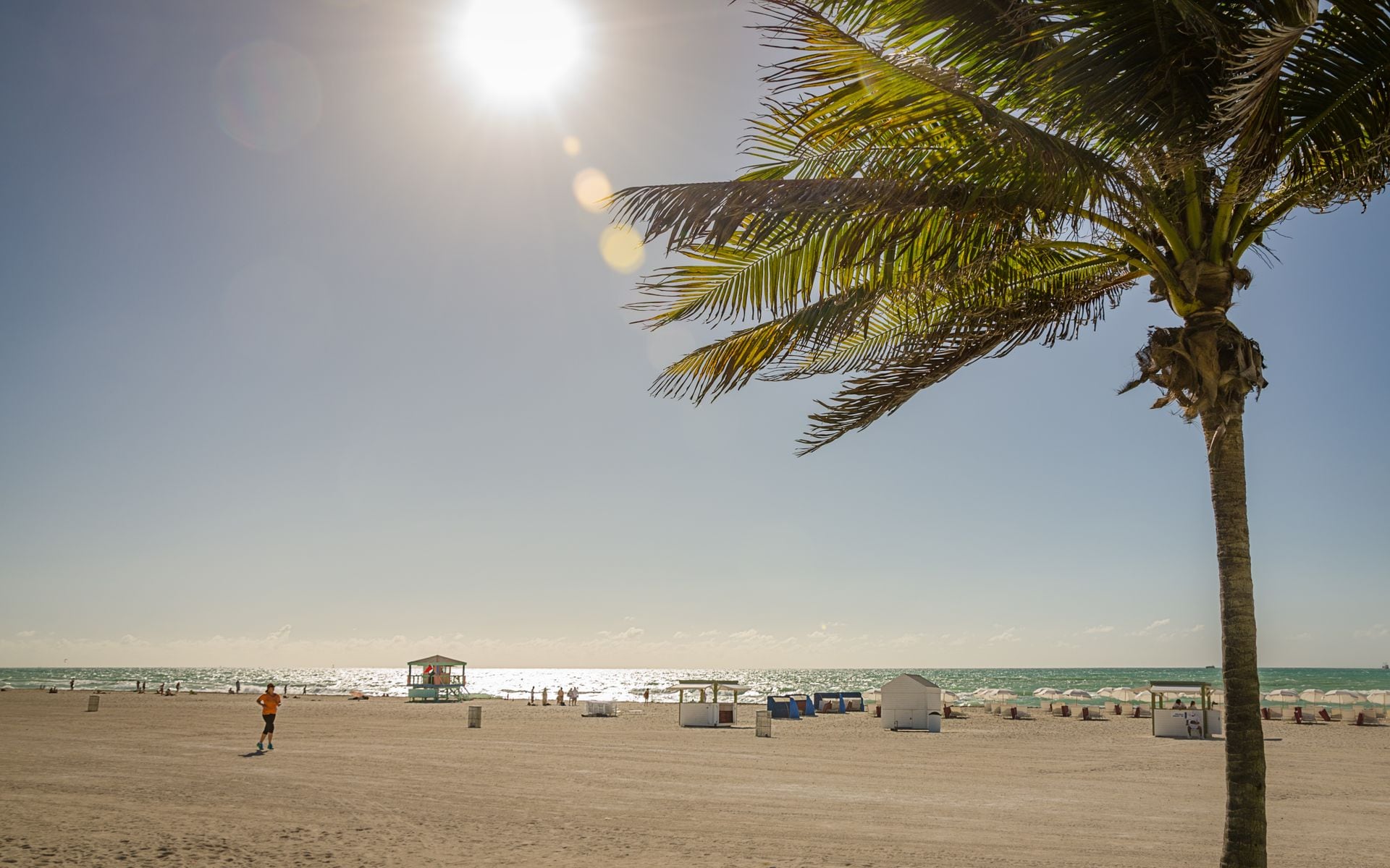 Beachfront resort and palm trees on a sunny Florida afternoon
