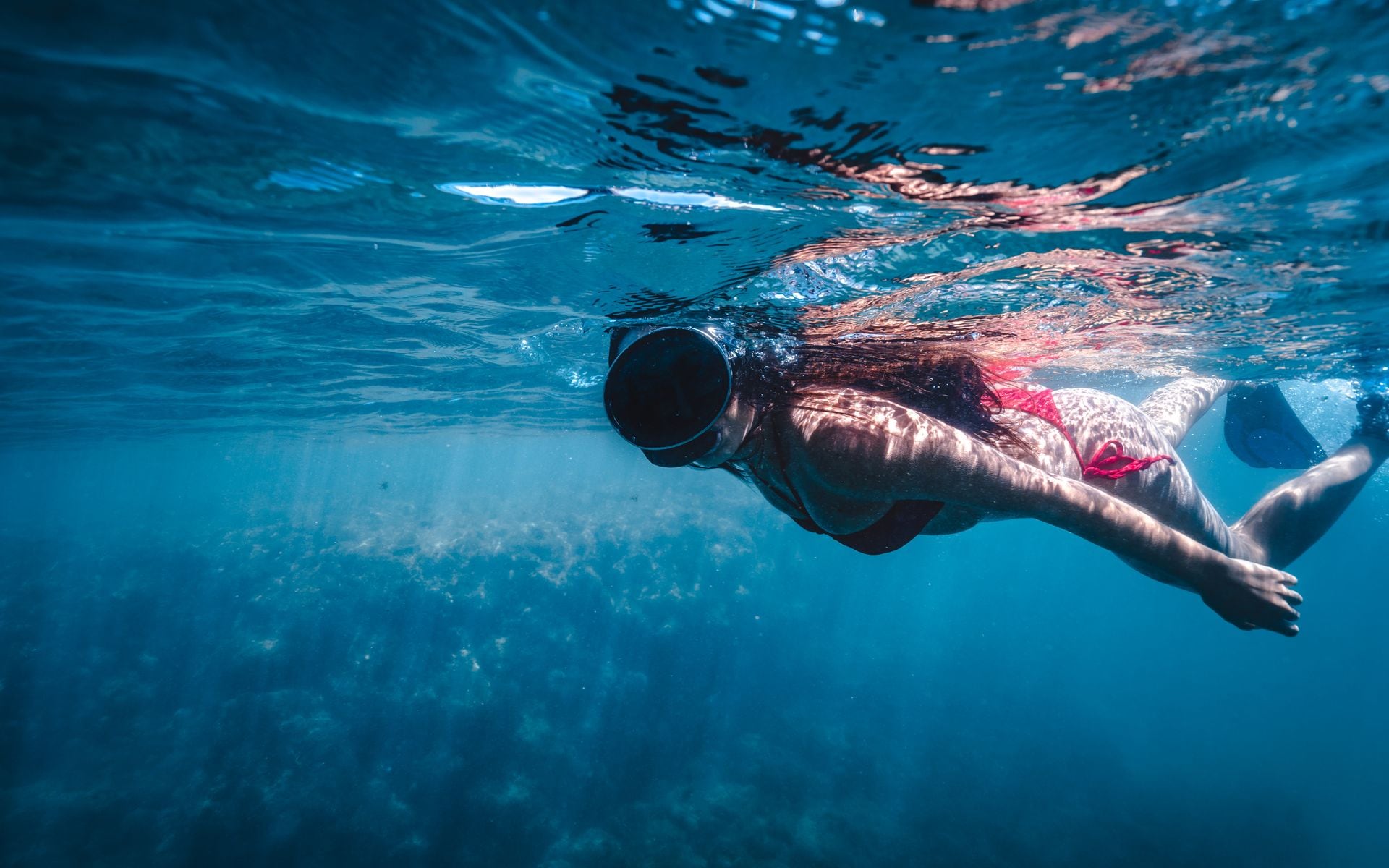 Best Snorkeling Spots in Florida in Florida
