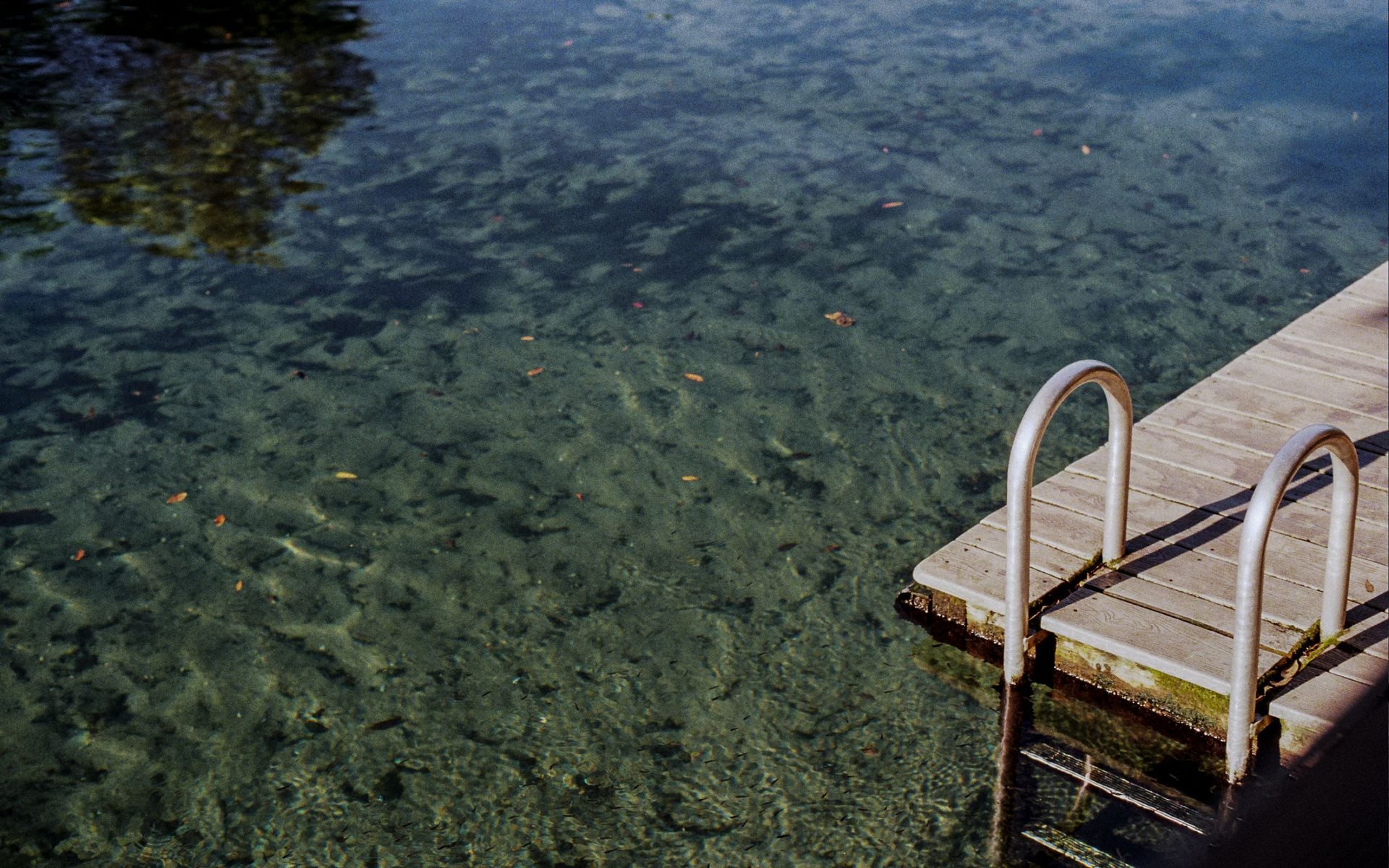 Best Springs in Florida in Florida