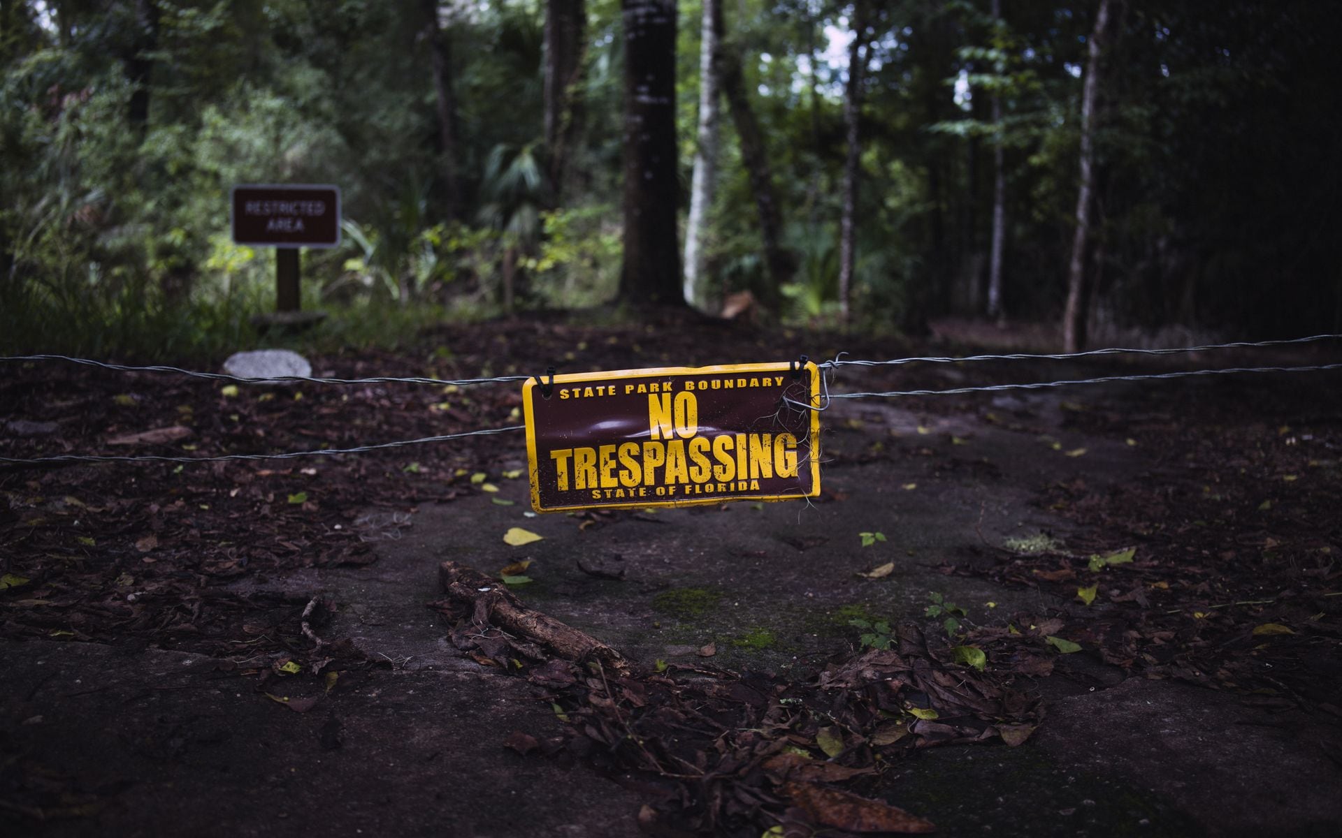 Best State Parks in Florida in Florida