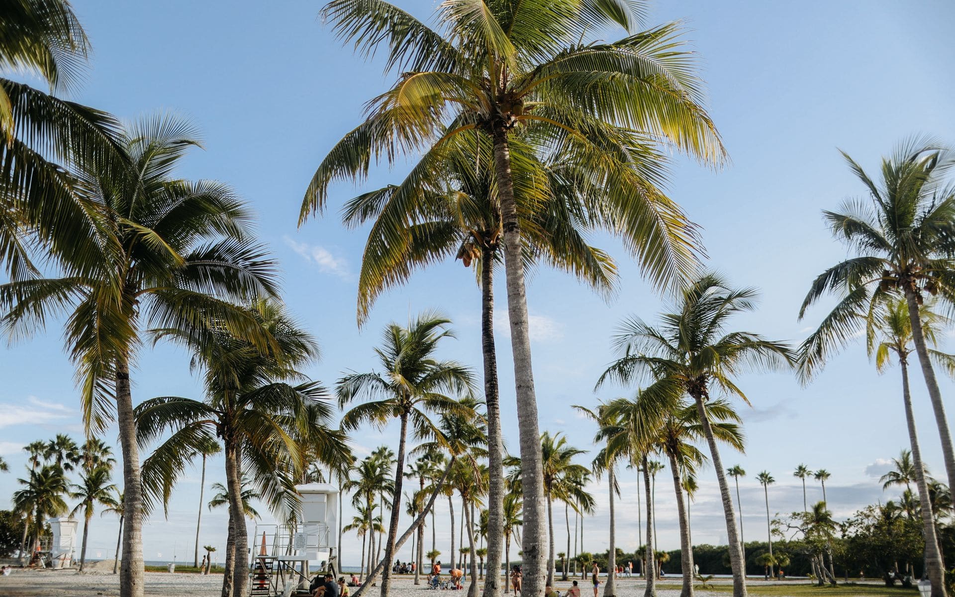 Best Winter Escapes in Florida in Florida