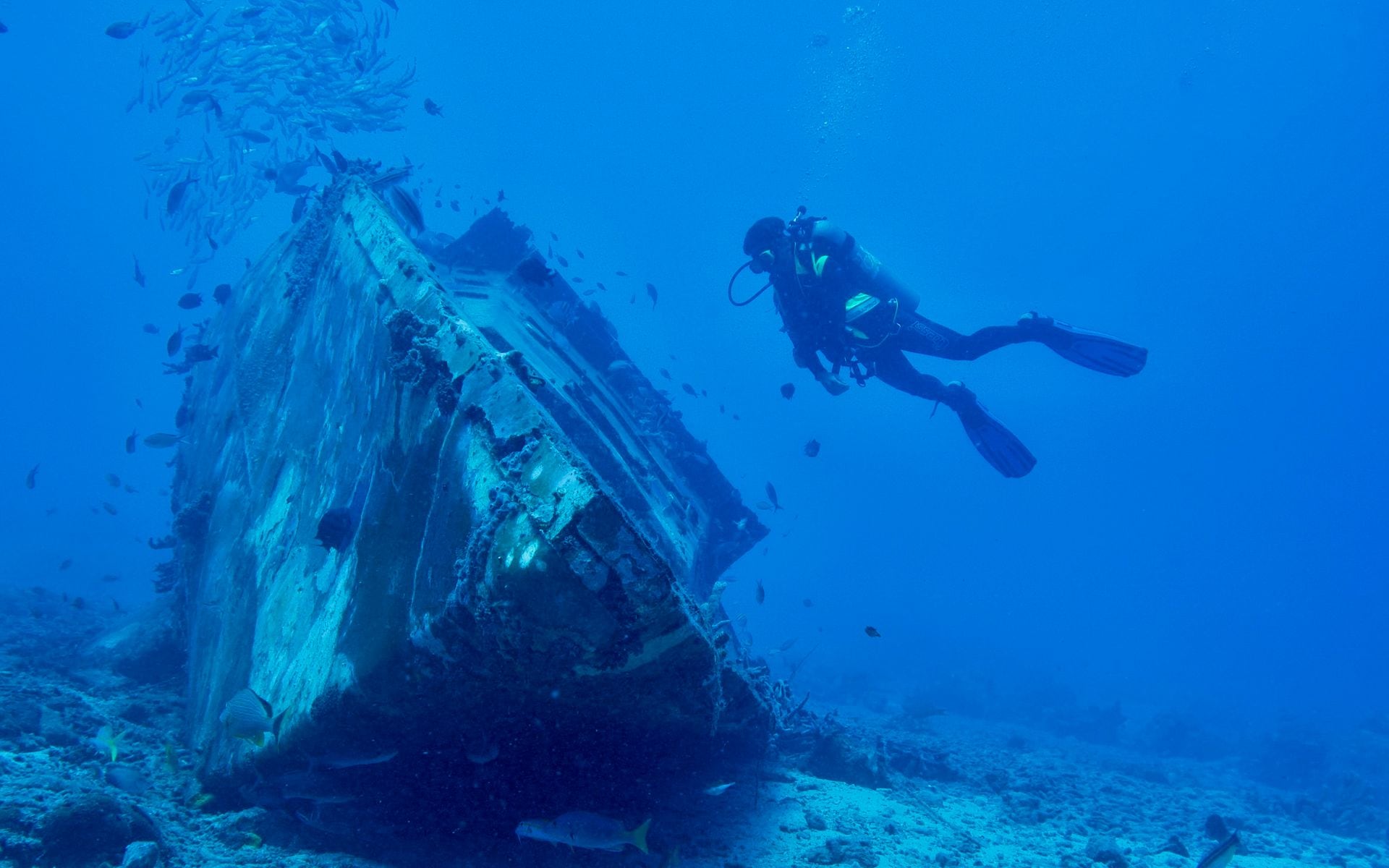 Dive and Snorkel Operators in Florida