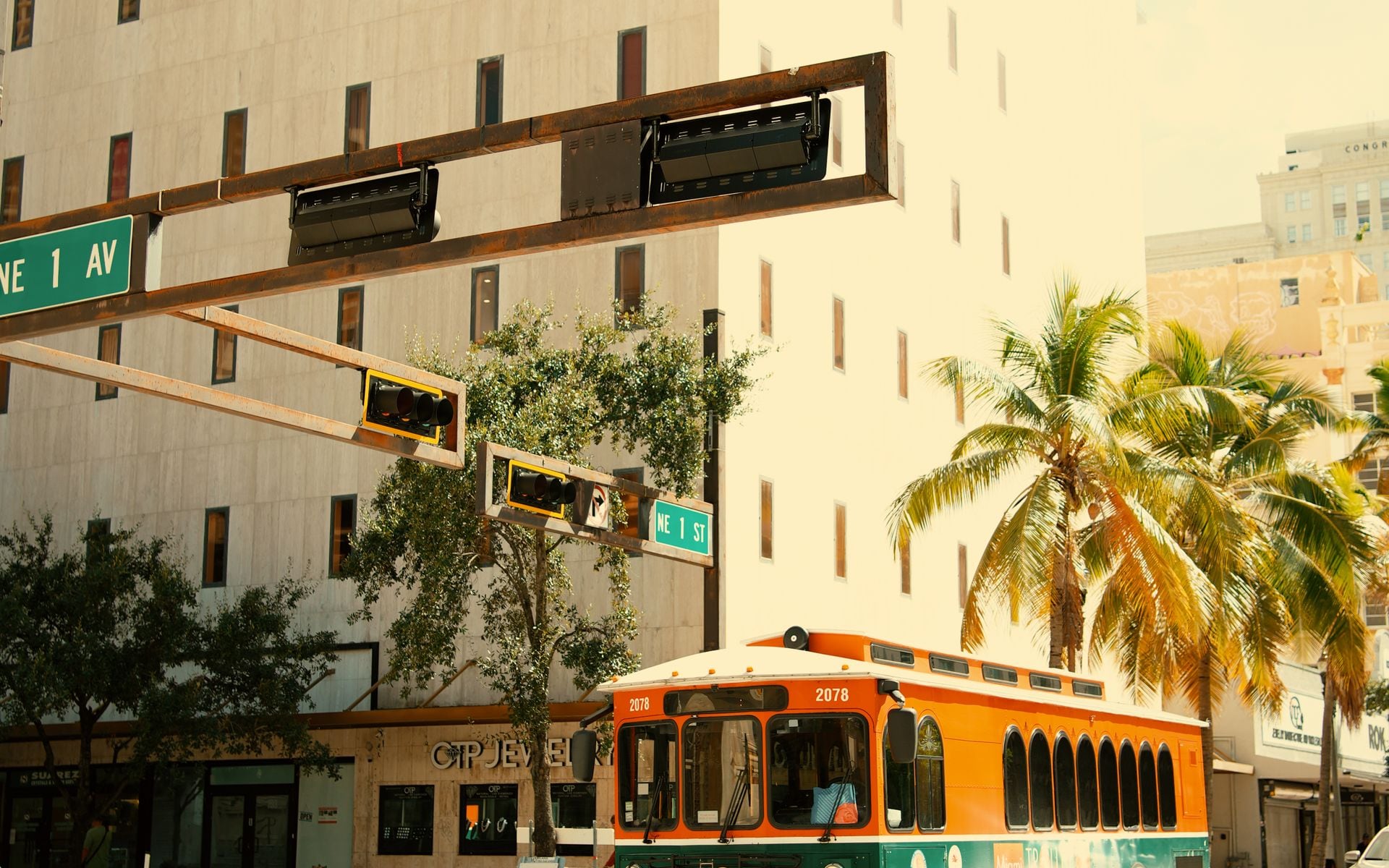 Tours and Boat Trips in Florida