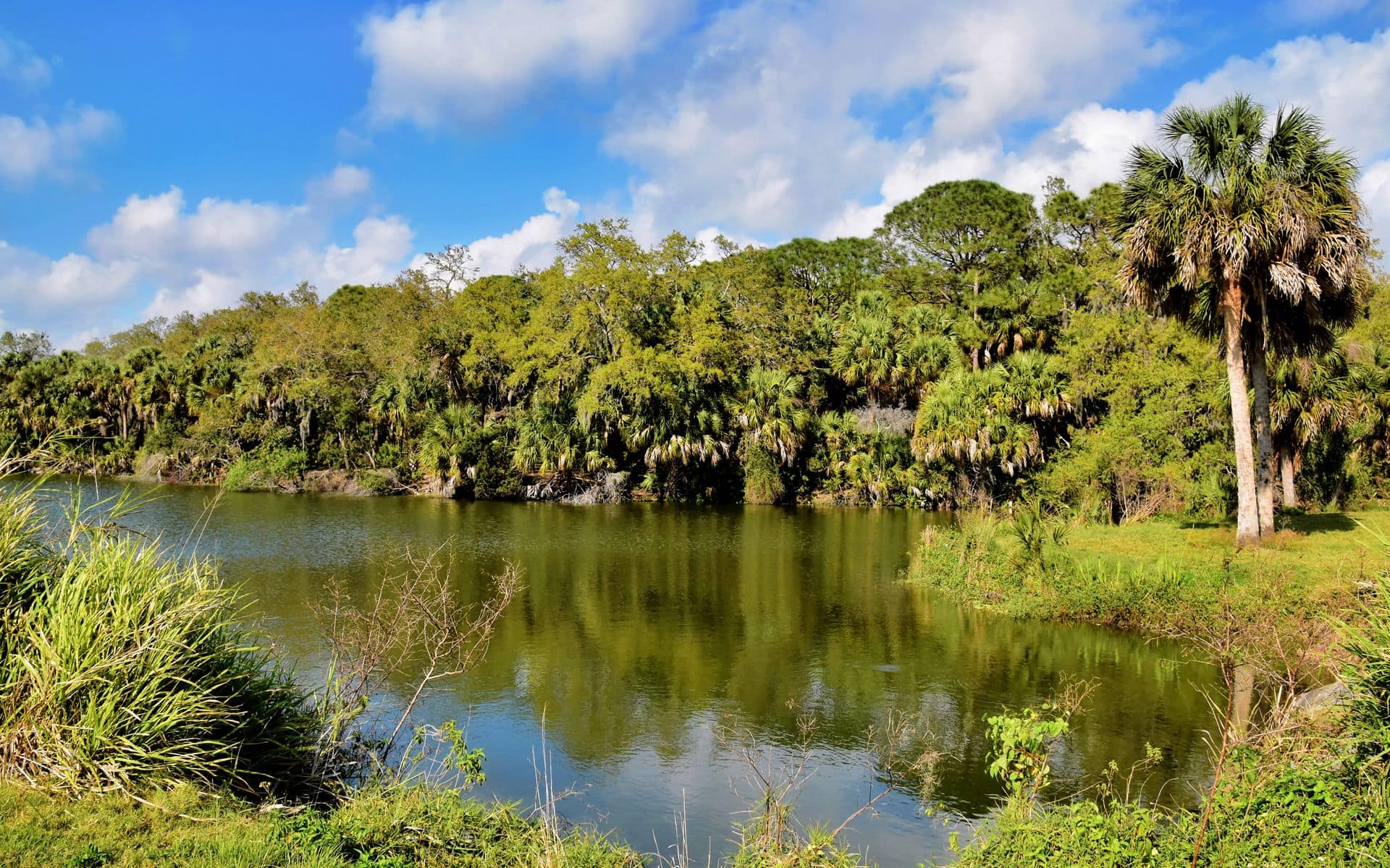 Florida Travel Guide in Florida