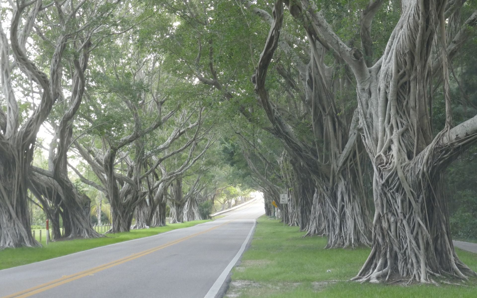 Gulf Coast Road Trip in Florida
