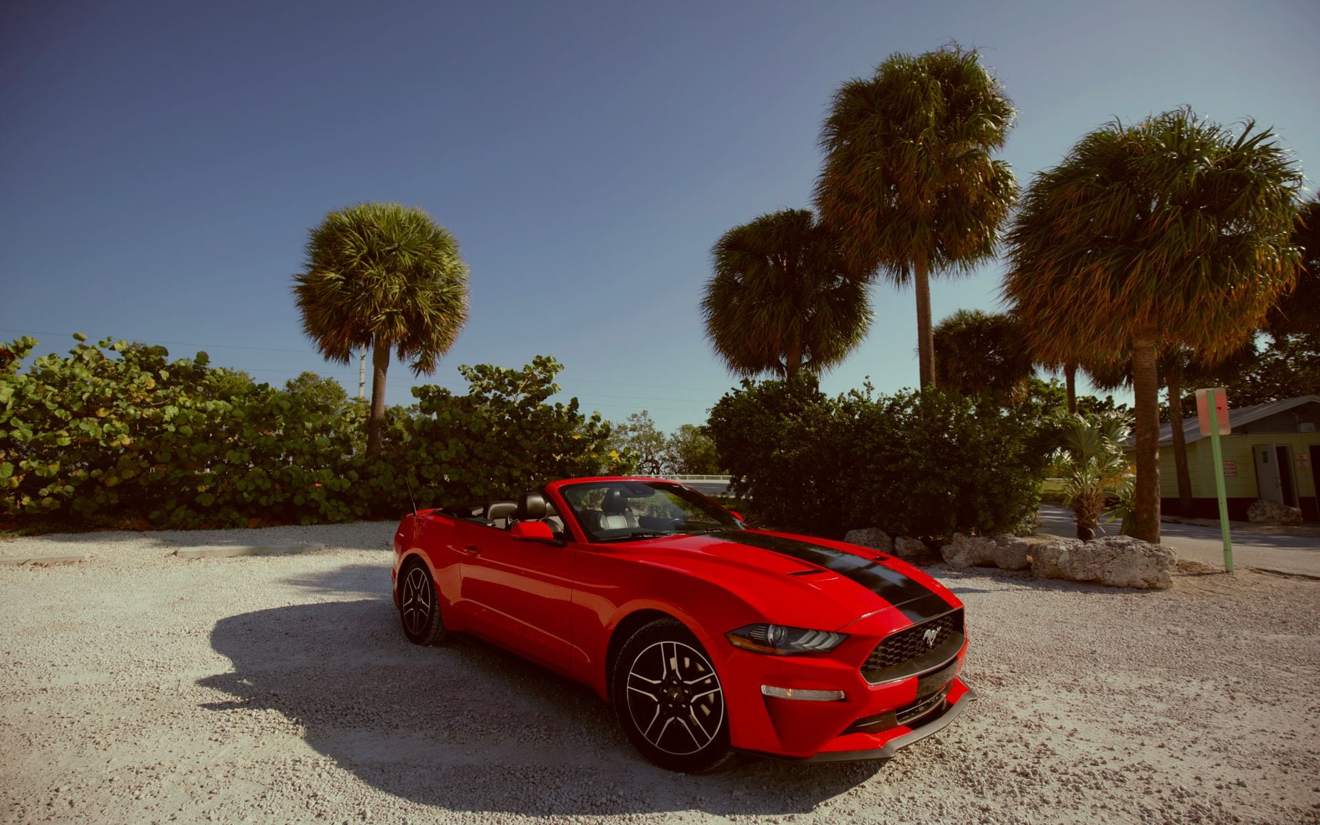 South Florida and the Everglades in Florida