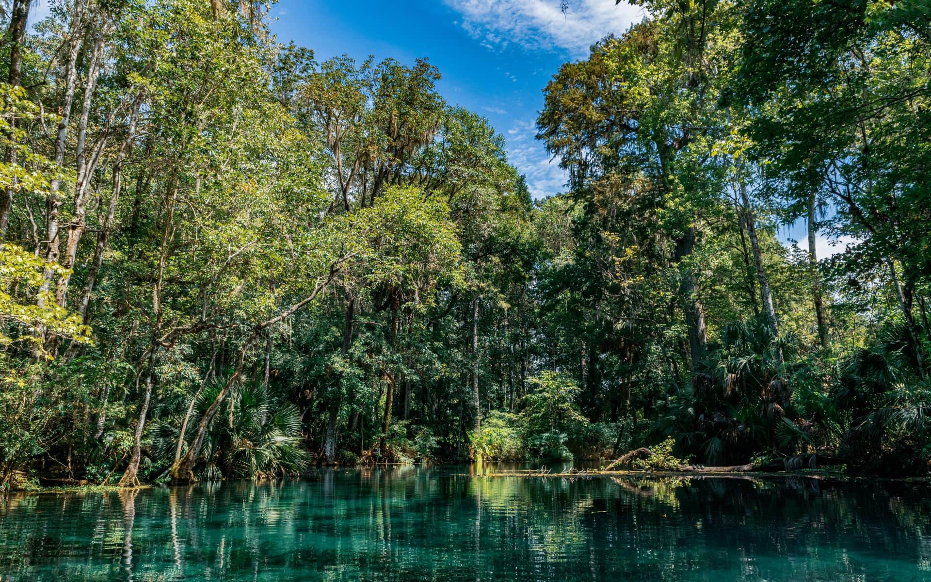 Silver Springs and Ocala in Florida