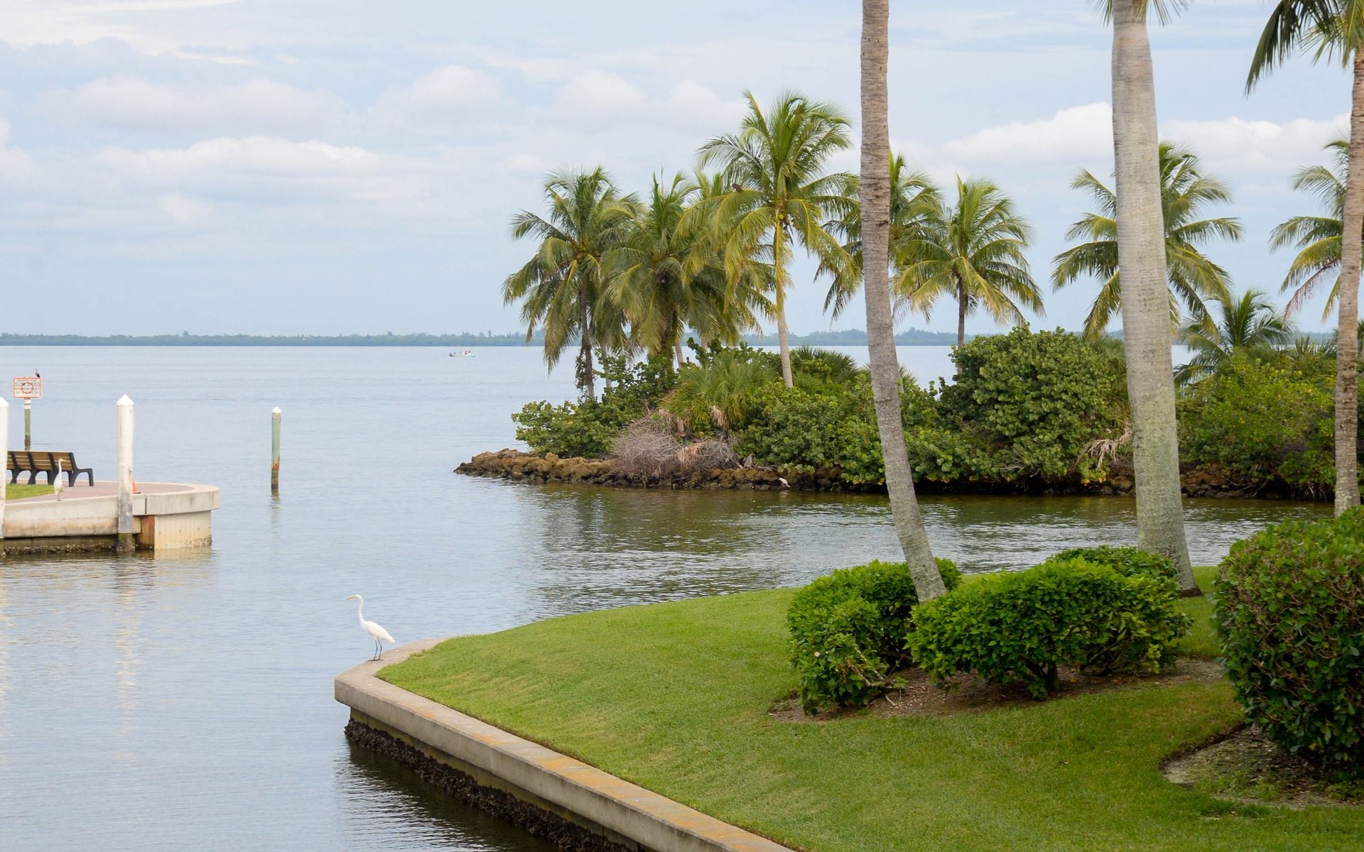 Best Time to Visit Florida in Florida