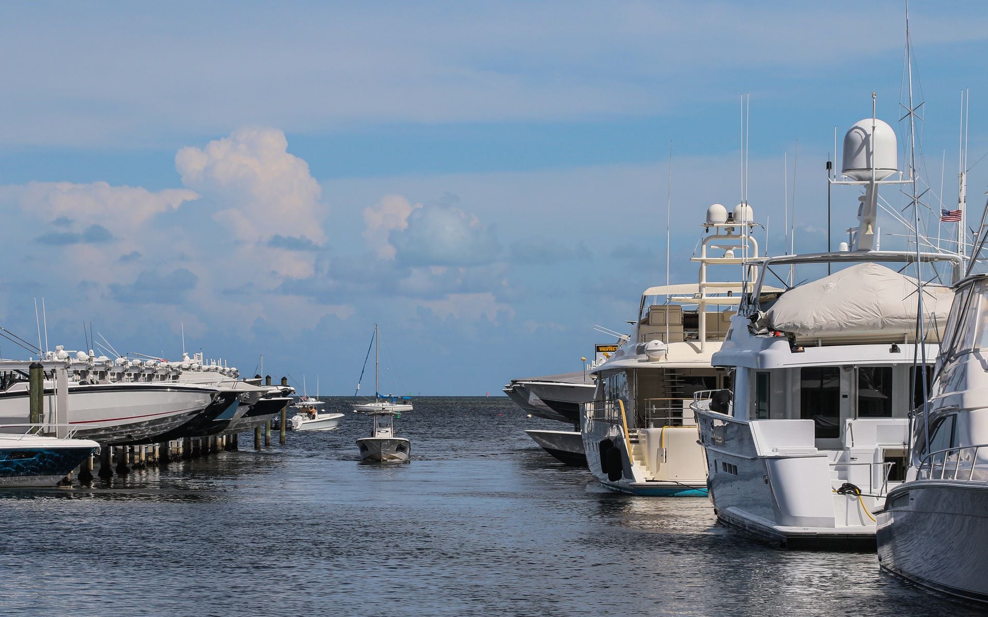 Boating and Sunset Cruises in Florida