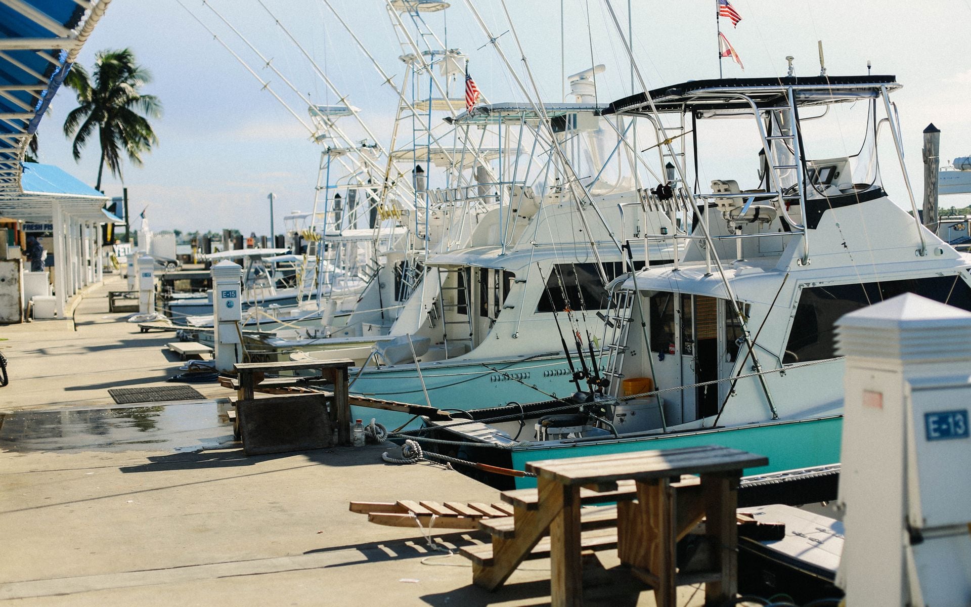 Fishing Charters in Florida