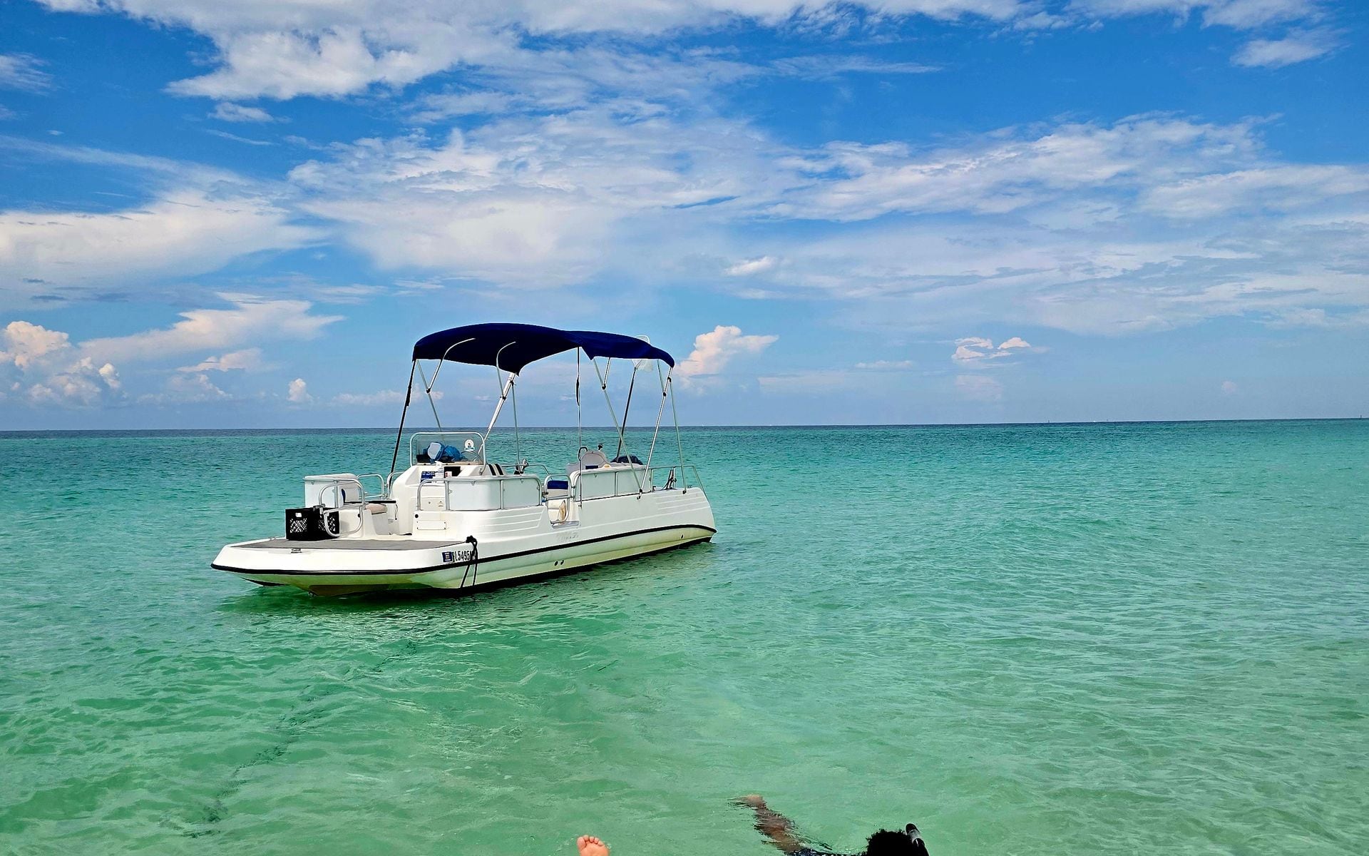 Snorkeling and Diving in Florida