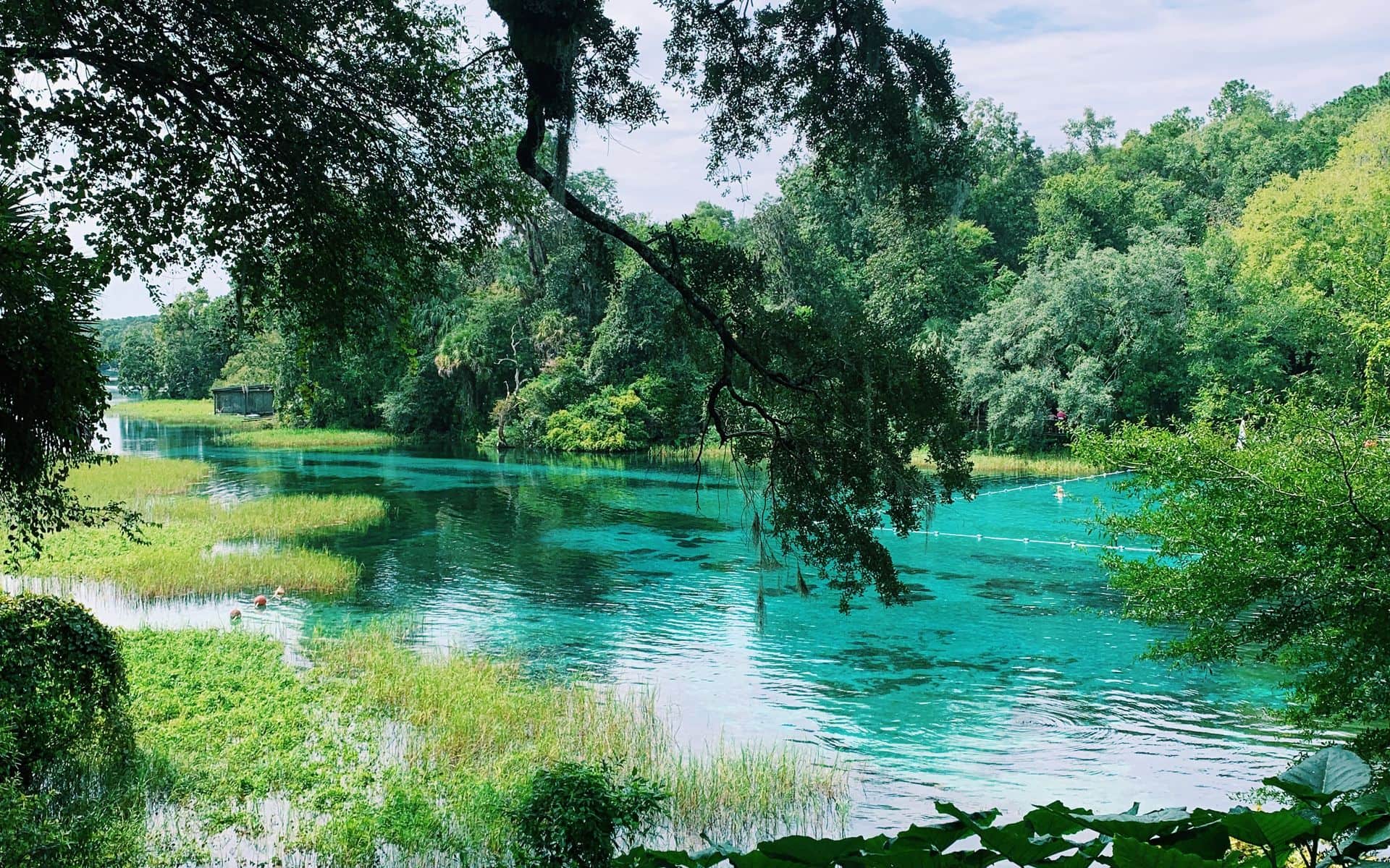 Springs and Swimming in Florida